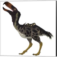 Kelenken is an extinct genus of giant flightless predatory birds Fine Art Print