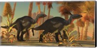 Camptosaurus dinosaurs wander through a prehistoric jungle Fine Art Print