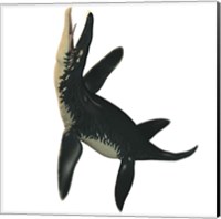 Liopleurodon, a large carnivorous marine reptile Fine Art Print