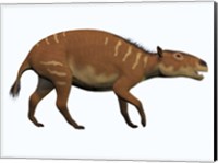 Eurohippus, an extinct ancestor of the modern horse Fine Art Print