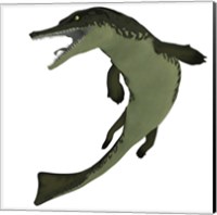 Metriorhynchus, an extinct genus of crocodyliform from the Jurassic Period Fine Art Print
