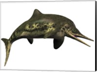 Stenopterygius was an ichthyosaur from the Jurassic Period Fine Art Print