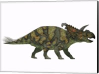 Albertaceratops dinosaur from the Upper Cretaceous Era Fine Art Print