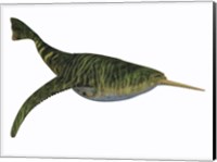 Doryaspis is an extinct genus of primitive jawless fish Fine Art Print