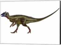 Hypsilophodon is an ornithopod dinosaur from the Cretaceous Period Fine Art Print