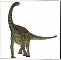 Spinophorosaurus is a sauropod dinosaur from the Jurassic Period Fine Art Print