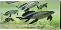 Scaumenacia lobe-finned fish from the Devonian period Fine Art Print