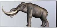 Profile view of Columbian Mammoth Fine Art Print