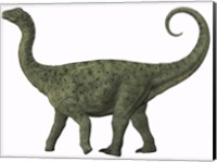 A juvenile Saltasaurus sauropod dinosaur of the Cretaceous Period Fine Art Print