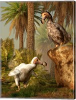 A pair of Dodo birds play a game of hide-and-seek Fine Art Print