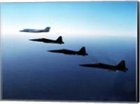 Three F-5E Tiger IIs fly in formation with a Learjet 25 Fine Art Print