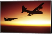 US Navy F-14A Tomcat aerial refueling from a KC-130 Hercules Fine Art Print