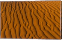 Natural sand patterns, Sahara, Douz, Tunisi, Africa Fine Art Print