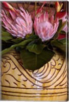 Queen Protea and Heliconia, Umhlanga Rocks, Durban, Kwazulu Natal, South Africa Fine Art Print