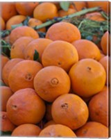 Oranges for sale in Fes market Morocco Fine Art Print