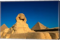 The Sphinx, Pyramids at Giza, Egypt Fine Art Print