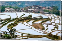 Village Beside Flooded Jiayin Terraces, Honghe County, Yunnan, China Fine Art Print
