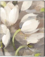 Tulip Delight II Fine Art Print