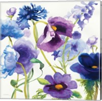 Blue and Purple Mixed Garden I Fine Art Print