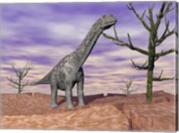 Argentinosaurus standing on the cracked desert ground next to dead trees Fine Art Print