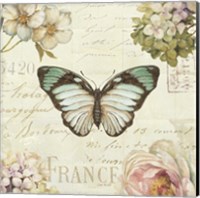 Marche de Fleurs Butterfly II Fine Art Print