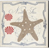 Pacific Starfish Fine Art Print