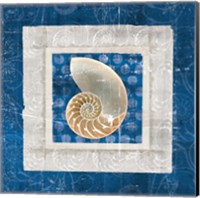 Sea Shell II on Blue Fine Art Print