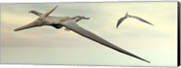 Two pteranodon dinosaurs flying in cloudy sky Fine Art Print