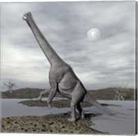 Brachiosaurus dinosaur backdropped by a full moon Fine Art Print