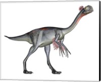 Gigantoraptor dinosaur, white background Fine Art Print