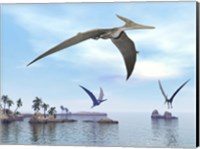 Three pteranodons flying over landscape with hills, palm trees and water Fine Art Print