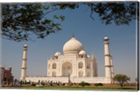 Asia, India, Taj Mahal with trees above as framing element Fine Art Print