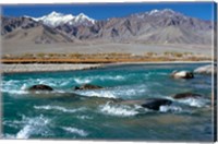 India, Ladakh, Indus River, Himalaya range Fine Art Print