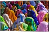 Women in colorful saris, Jhalawar, Rajasthan, India Fine Art Print