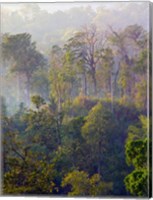 Sulawesi Tangkoko Rainforest, Sulawesi Fine Art Print