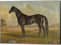 America's Renowned Stallions, c. 1876 II Fine Art Print