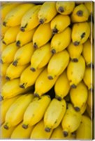 Oman, Dhofar Region, Salalah. Local bananas for Sale Fine Art Print
