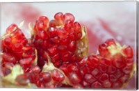 Pomegranate on the street raw or made into juice, Bangkok, Thailand Fine Art Print