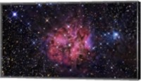 The Cocoon Nebula Fine Art Print