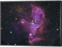 Open Cluster and Nebula Complex in the Small Magellanic Cloud Fine Art Print