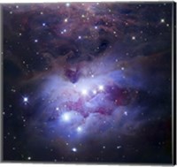 Reflection Nebula Northeast of the Orion Nebula Fine Art Print