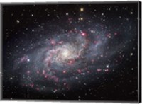 The Triangulum Galaxy Fine Art Print