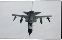 A Luftwaffe Tornado IDS over northern Germany (front view) Fine Art Print
