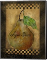 Sugar Pears Fine Art Print