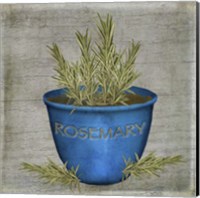 Herb Rosemary Fine Art Print