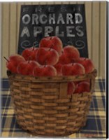 Orchard Apples Fine Art Print