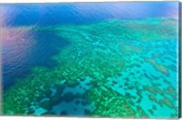 Aerial view of the Great Barrier Reef, Queensland, Australia Fine Art Print