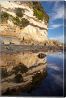 Cliffs of Fossil Bluff, Wynyard, NW Tasmania, Australia Fine Art Print