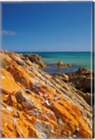 Orange Lichen, Green Point, Ann Bay, Australia Fine Art Print