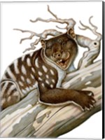 Thylacoleo, a Marsupial Lion from the Pleistocene Age Fine Art Print